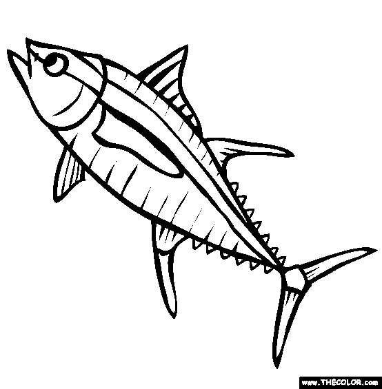 Yellowfin Tuna Coloring Page