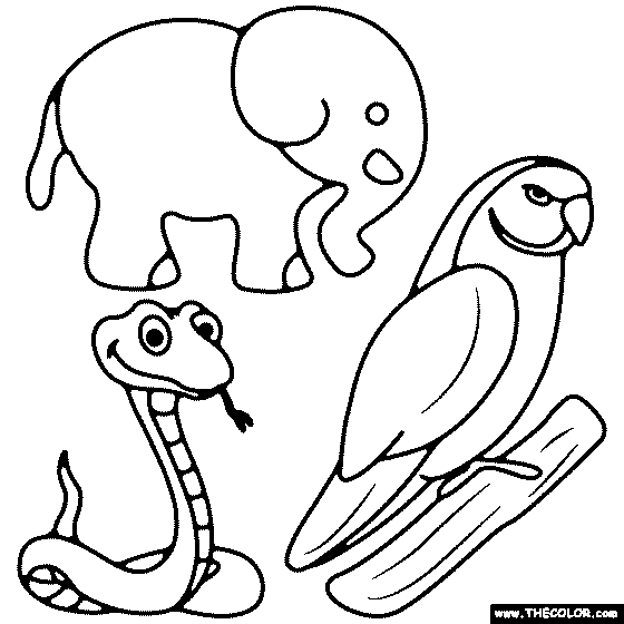 Zoo Animals Coloring Page