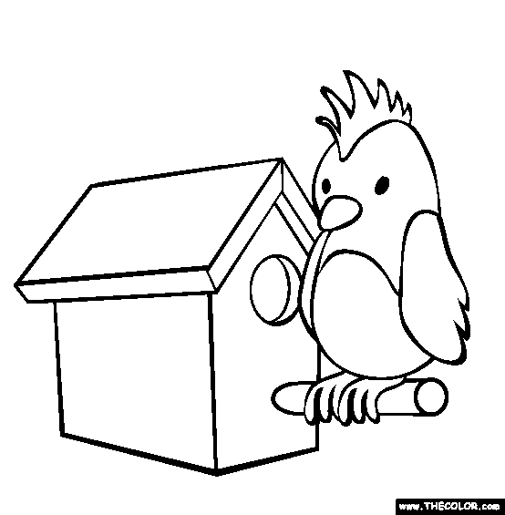 Bird Coloring Page