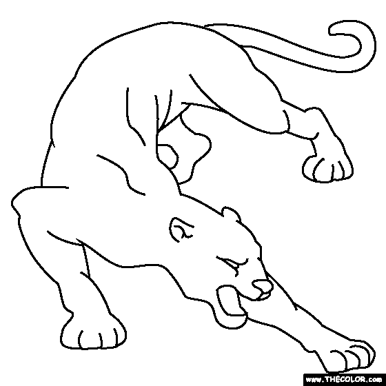 Cougar Coloring Page