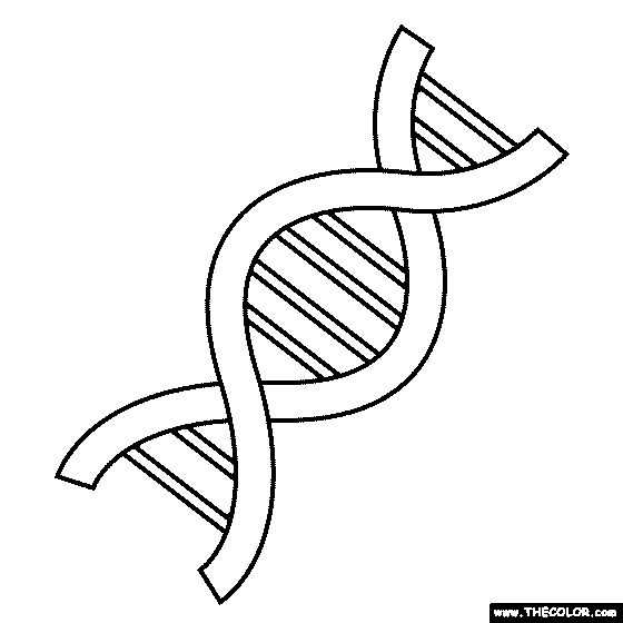 DNA Coloring Page