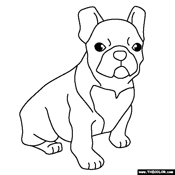 French Bulldog Puppy Coloring Page