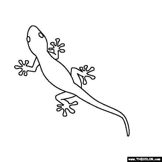 Gecko Coloring Page