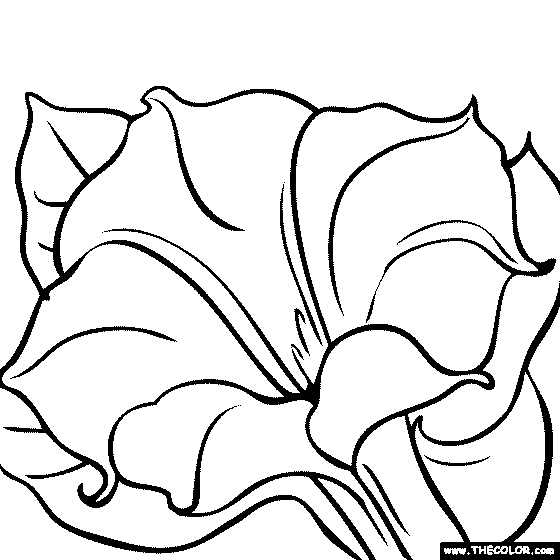 O'keeffe Online Coloring Pages | TheColor.com