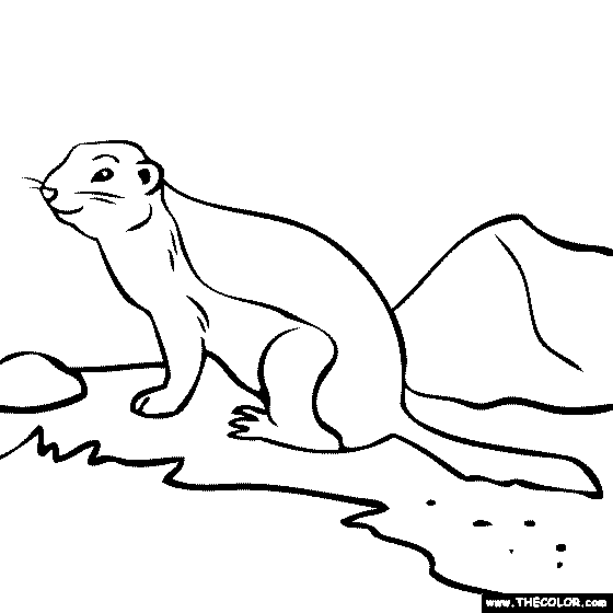 Gopher Coloring Page