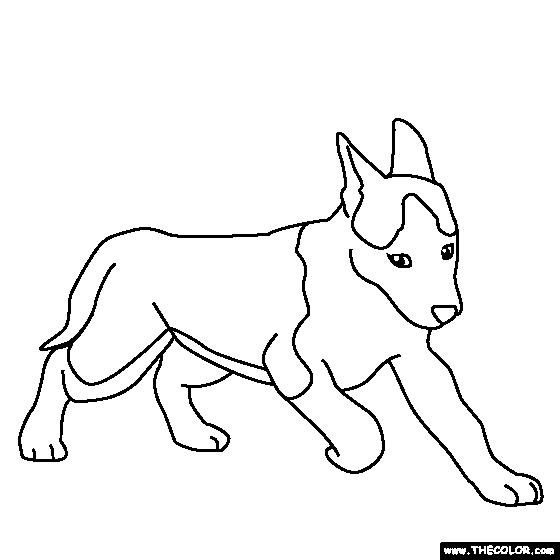 Husky Puppy Coloring Page