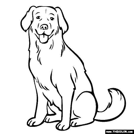 Labrador Coloring Page | Yellow Lab, Chocolate Lab