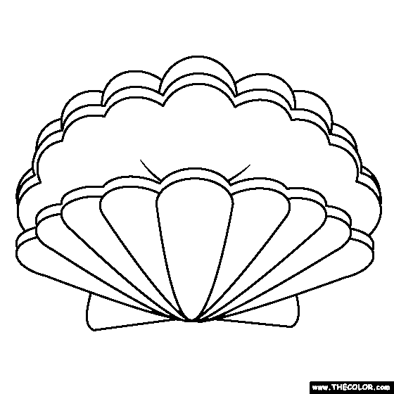 Sea Shell Coloring Page