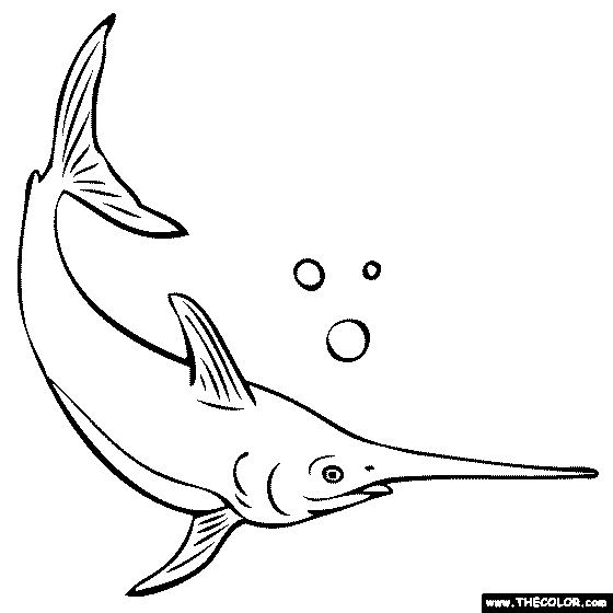 Sword Fish coloring page | color a swordfish