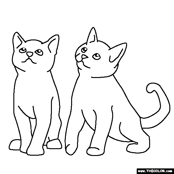 Two Kittens Coloring Page